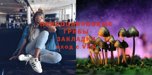прущие грибы Алексеевка