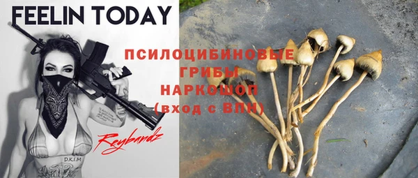 прущие грибы Алексеевка