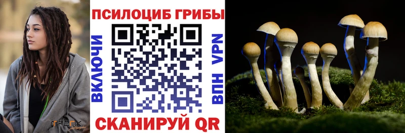 Галлюциногенные грибы Magic Shrooms  закладка  Серов 